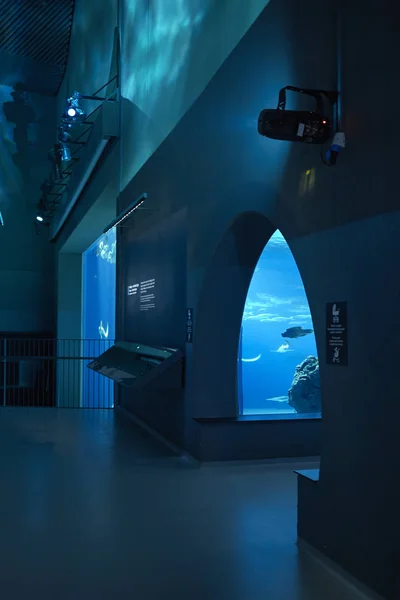Kopenhagen Dänemark Oktober 2018 Blick Auf Haitunnel Ozeanbecken Nationalen Aquarium — Stockfoto