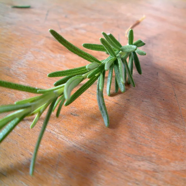 Rosemary Branch Close Wood Table — Stock Photo, Image