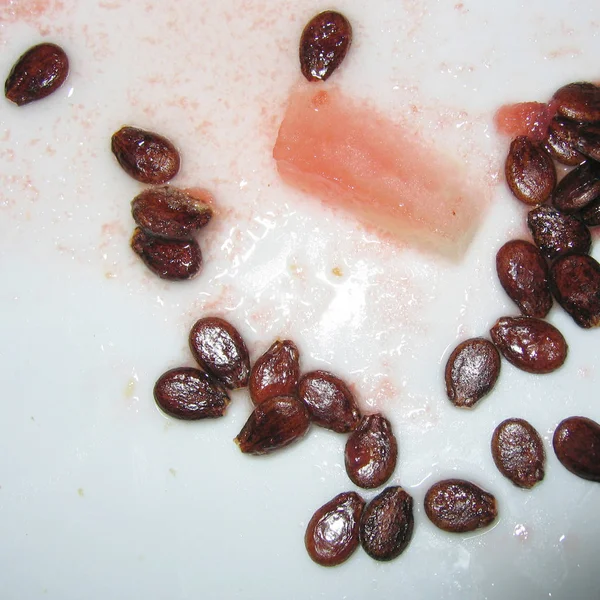 Wassermelonensamen Auf Einem Teller — Stockfoto