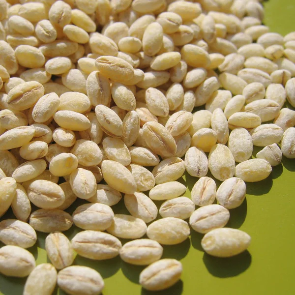 Cereales de cebada seca de cerca —  Fotos de Stock