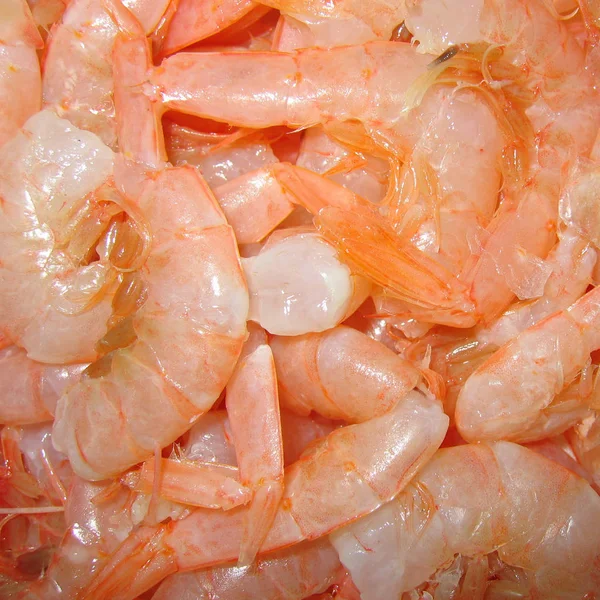 Raw Shrimps Ready Cooked — Stock Photo, Image