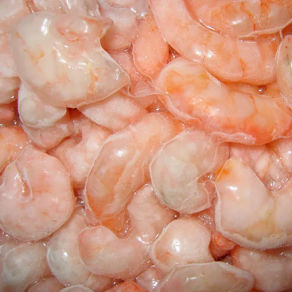 Raw Frozen shrimps close up