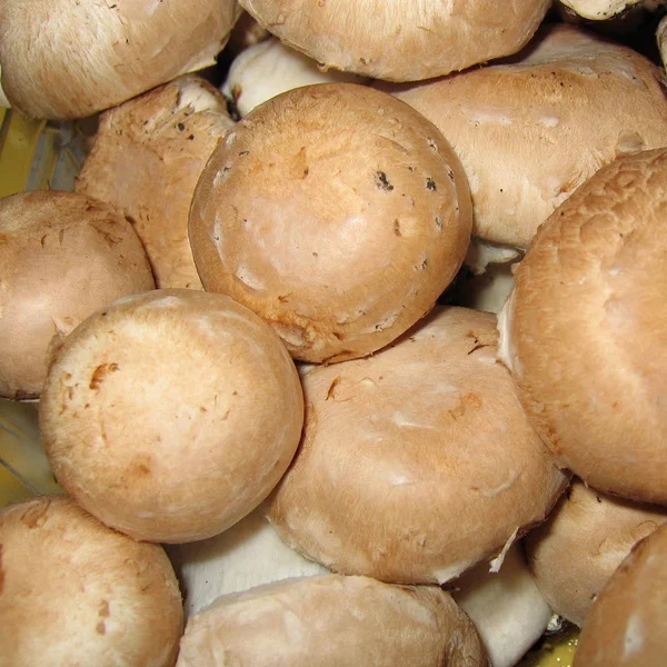 Funghi Crudi Venduti Mercato — Foto Stock