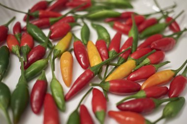 Bir masada çeşitli baharatlı Biber