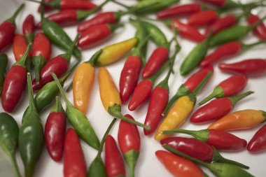 Bir masada çeşitli baharatlı Biber