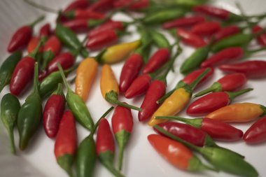 Bir masada çeşitli baharatlı Biber