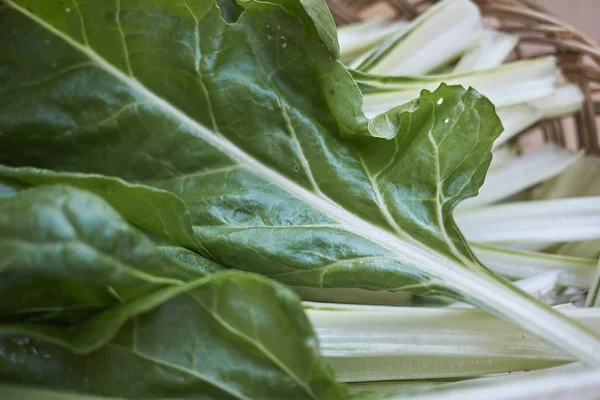 Ham Pazı yakın bırakır