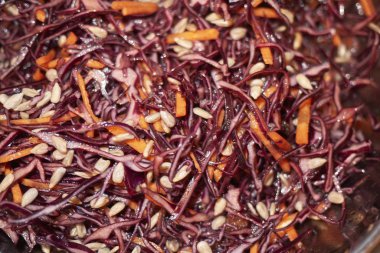 Kırmızı lahana ve havuç salatası