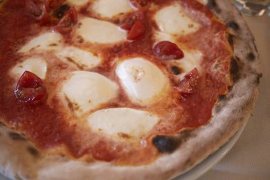 Buffalo mozzarella peynirli pizza