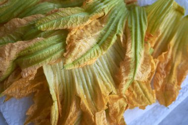 çiğ kabak çiçekleri yakın