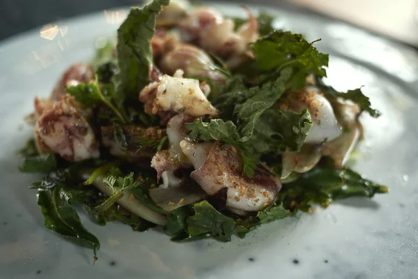 Bebé Calamares Con Verduras Silvestres — Foto de Stock