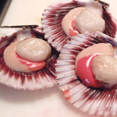 Ham tarak ve kabuğu