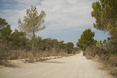 Kumlu bir yolun görünümü