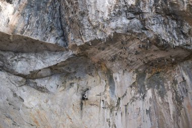 Ibiza, Balear Adaları, İspanya - 31 Ağustos 2015: Es Vedra adası