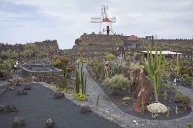 Lanzarote, Kanarya Adaları, İspanya - 20 Ağustos 2015 : Kaktüs bahçesi