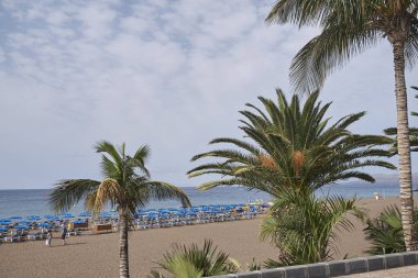 Lanzarote, Kanarya Adaları, İspanya - 20 Ağustos 2015 : Kaktüs bahçesi