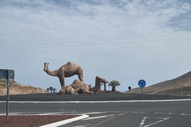 Lanzarote, İspanya - 21 Ağustos 2015 : Timanfaya yakınlarındaki deve heykeli, Lanzarote