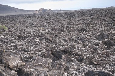 Lanzarote, İspanya - 24 Ağustos 2015 : Timanfaya milli parkı