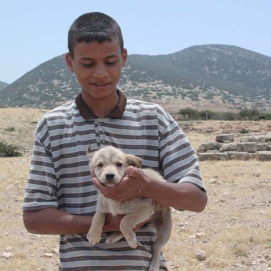 Tolemaide, Libya - 10 Mayıs 2002: Köpek yavrusu olan çocuk