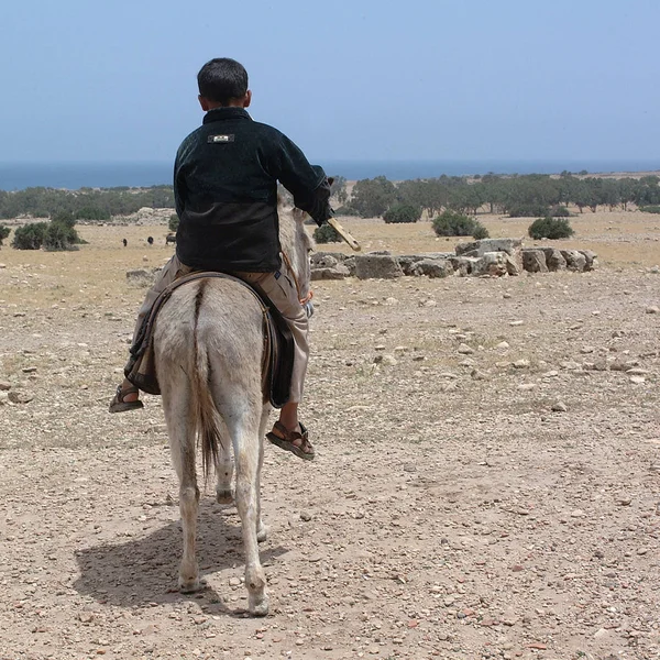 Tolemaide Libya May 2002 Child Riding Donkey — Stock Photo, Image