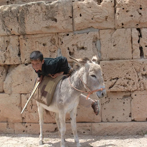 Tolemaide Λιβύη Μαΐου 2002 Παιδί Ιππασία Γαϊδουράκι — Φωτογραφία Αρχείου
