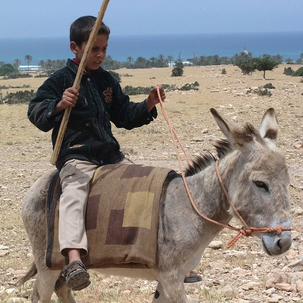 Tolemaide Libya May 2002 Child Riding Donkey — Stock Photo, Image