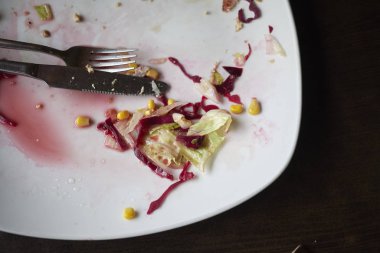 Salata artıkları ile boş tabak