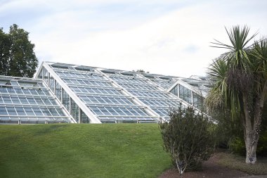 Londra, İngiltere - 24 Ağustos 2017 : Kew Gardens