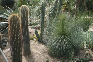 Londra, İngiltere - 24 Ağustos 2017 : Kew Gardens
