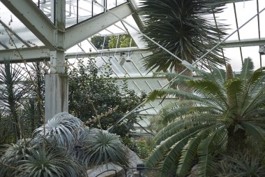 Londra, İngiltere - 24 Ağustos 2017 : Kew Garden