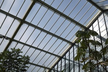 Londra, İngiltere - 24 Ağustos 2017 : Kew Gardens