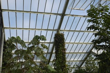 Londra, İngiltere - 24 Ağustos 2017 : Kew Gardens