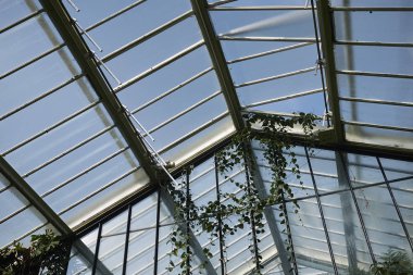 Londra, İngiltere - 24 Ağustos 2017 : Kew Gardens