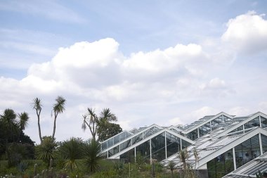 Londra, İngiltere - 24 Ağustos 2017 : Kew Gardens