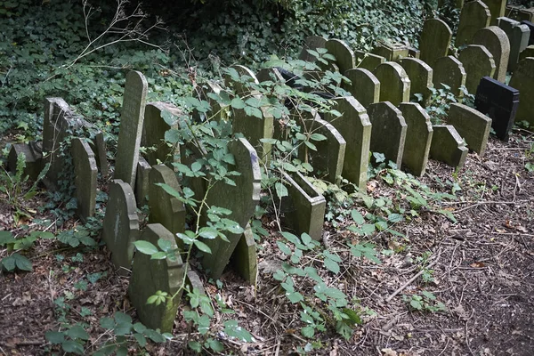 Londres Reino Unido Agosto 2017 Abney Park Cemetery — Fotografia de Stock
