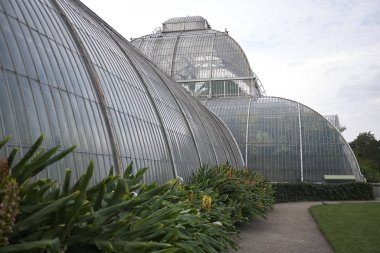 Londra, İngiltere - 24 Ağustos 2017 : Kew Gardens