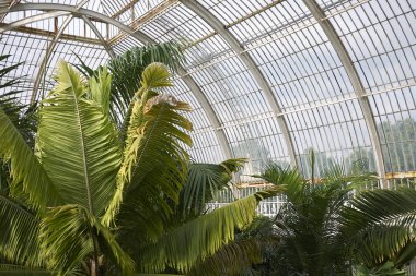 Londra, İngiltere - 24 Ağustos 2017 : Kew Gardens