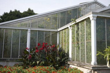 Londra, İngiltere - 24 Ağustos 2017 : Kew Gardens