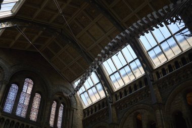 Londra, İngiltere - 27 Ağustos 2017 : Natural History Museum