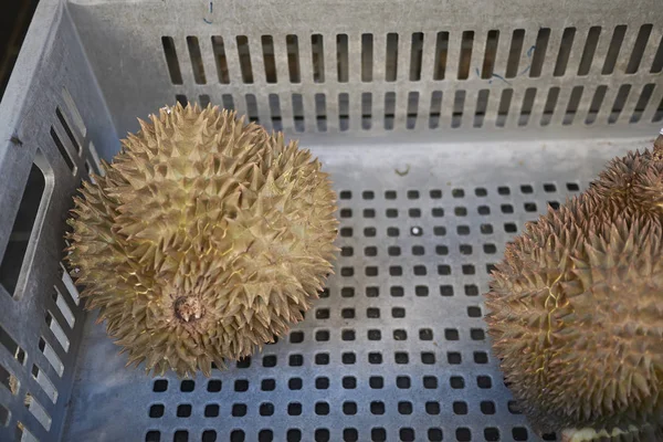 Лондон Великобритания Июня 2018 Года Durian Продается Китайском Квартале — стоковое фото