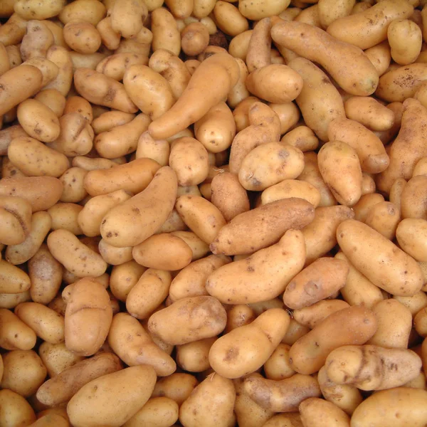 Raw Potatoes Sold Market — Stock Photo, Image