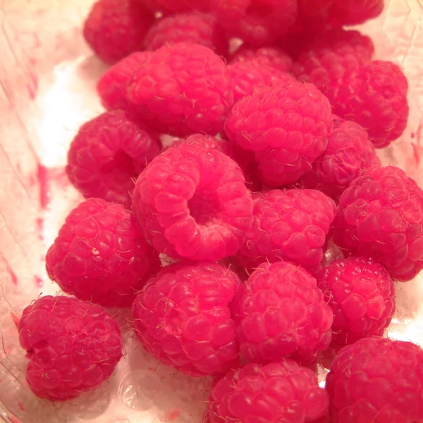 Ripe Raspberries Box — Stock Photo, Image