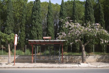 Mondello, İtalya - 10 Eylül 2018 : Mondello yolunda otobüs durağı 'Olimpo'