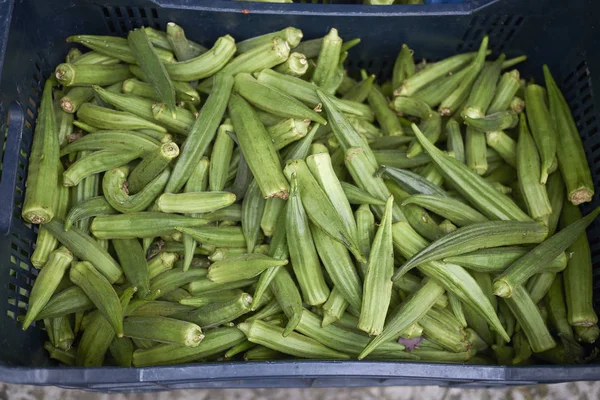 Palermo Italia Settembre 2018 Okra Venduta Mercato — Foto Stock