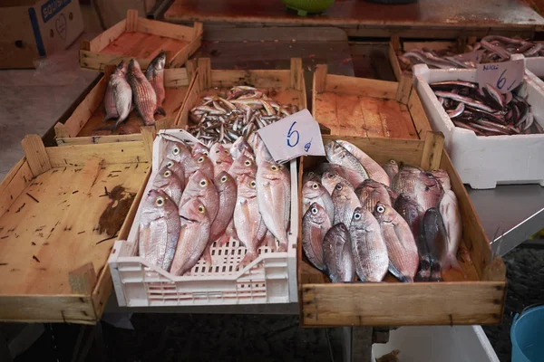 Palermo Italy September 2018 Fishmonger Kiosk Ballaro Market — Stock Photo, Image