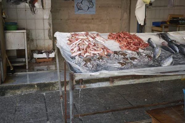 Palermo Itália Setembro 2018 Quiosque Peixeiros Mercado Vucciria — Fotografia de Stock