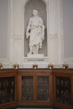 Palermo, İtalya - 06 Eylül 2018 : Pedanius Dioscorides heykelinin Palermo Botanik Bahçeleri'ndeki görünümü