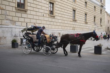 Palermo, İtalya - 07 Eylül 2018 : Atlı taşıma