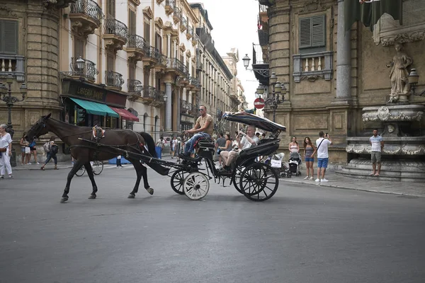 Palermo Italy September 2018 Horse Carriage Street — Stock Photo, Image