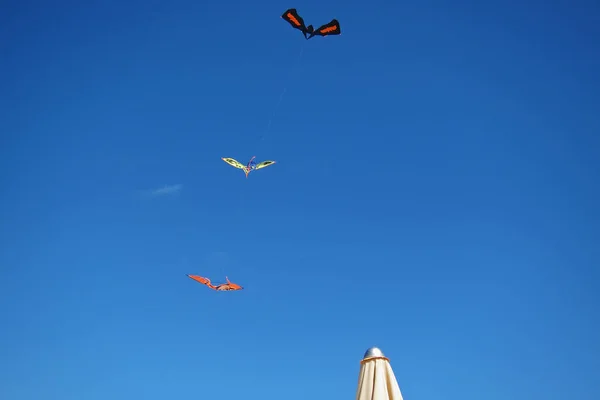 San Vito Capo Italy August 2011 Kite Sky — Stock Photo, Image